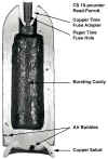 10readparrott.jpg (39167 bytes)