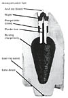 US 3.8-inch James Pattern II Shell