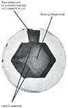 CS 12-pounder Polygonial Cavity Interior - Diamond Pattern