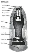 US 3-inch Hotchkiss Percussion Shell