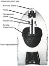 US 3.8-inch James Pattern I Shell